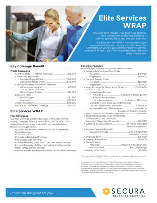 Elite Services WRAP Sell Sheet